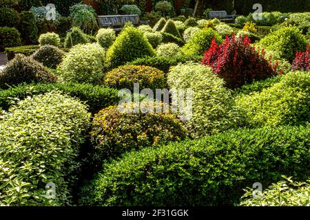 Parterre de jardin à nœud avec zone de couverture avec chemin de carrelage, un joli jardin clos et soigné avec banc de jardin siège Surrey UK Banque D'Images