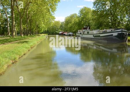 France, haute Garonne, Toulouse, canal du midi , cette œuvre d'art relie Toulouse à la méditerranée, elle est classée au patrimoine mondial de l'UNESCO. Banque D'Images