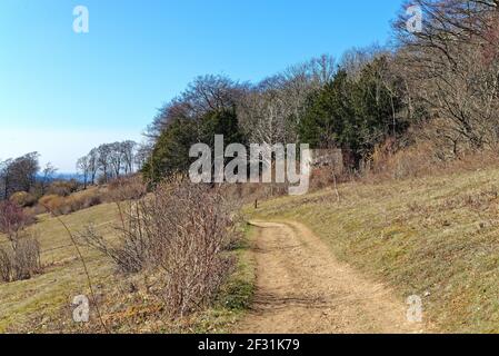 Un pilbox de la Seconde Guerre mondiale surplombant les North Downs lors d'une journée de printemps ensoleillée, près d'Abinger Hammer, dans les collines de Surrey, en Angleterre Banque D'Images