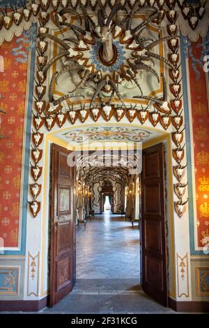 Beaucoup de trophes de chasse avec des crânes d'ibex décorent l'entrée d'un couloir dans le château de Sarre, vallée d'Aoste, Italie Banque D'Images