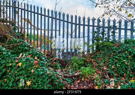 Clôture galvanisée entre la forêt et la maison dans Coneygree Wood, vallée de Gleadless, Sheffield. Banque D'Images