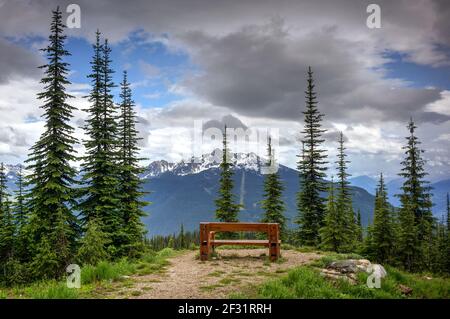 Parc national du Mont-Revelstoke, C.-B., Canada Banque D'Images