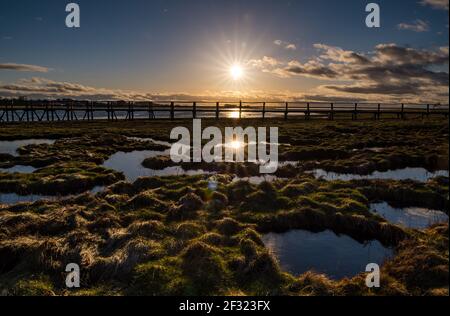 East Lothian, Écosse, Royaume-Uni, 14 mars 2021. Météo Royaume-Uni : coucher de soleil à la réserve naturelle d'Aberlady. Le soleil se couche sur la zone humide de la baie d'Aberlady et la passerelle piétonne en bois Banque D'Images