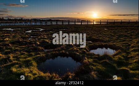 East Lothian, Écosse, Royaume-Uni, 14 mars 2021. Météo Royaume-Uni : coucher de soleil à la réserve naturelle d'Aberlady. Le soleil se couche sur la zone humide de la baie d'Aberlady et la passerelle piétonne en bois Banque D'Images