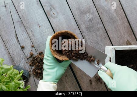 Jardinage concept de passe-temps. ECO pot, plante verte, jardinier mains en gants, pelle sur fond de bois plat. Photo de haute qualité Banque D'Images