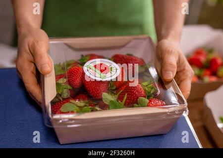 Mains de jeune agroingénieur mâle tenant un récipient avec mûr frais les fraises en les plaçant sur des balances après les avoir rembalées vente Banque D'Images