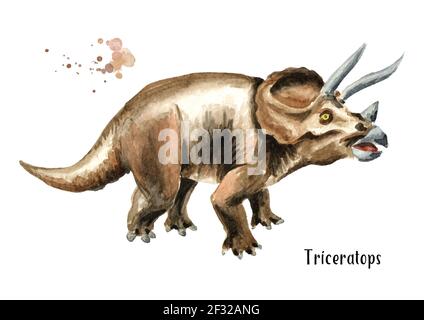 Dinosaure du Triceratops. Illustration aquarelle dessinée à la main, isolée sur fond blanc Banque D'Images