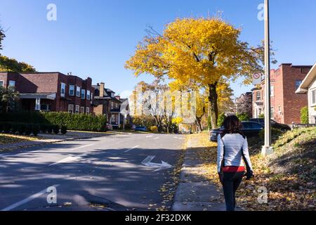 Rue Montréal en automne, avenue Victoria, Westmount, QC Banque D'Images