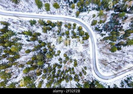 Image de drone, hiver dans la forêt souabe, forêt mixte, Bade-Wurtemberg, Allemagne Banque D'Images