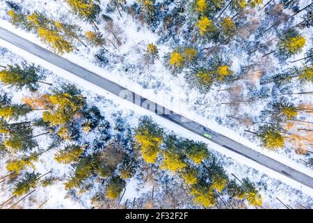 Image de drone, hiver dans la forêt souabe, forêt mixte, Bade-Wurtemberg, Allemagne Banque D'Images