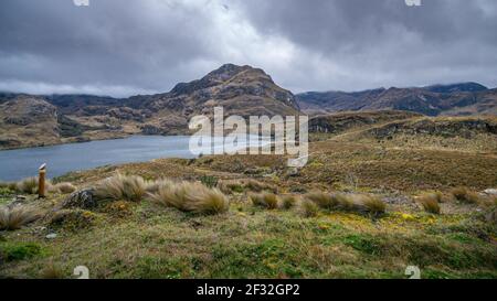 Vue panoramique sur les magnifiques lacs, les ruisseaux, la vallée dans le parc national de cajas dans les hauts plateaux de l'Equateur près de Cuenca Banque D'Images