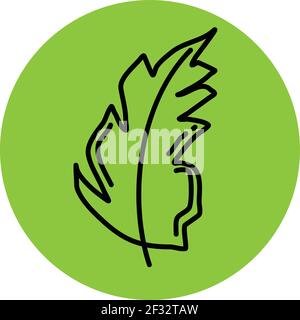 Feuille de menthe, illustration, vecteur sur fond blanc Illustration de Vecteur