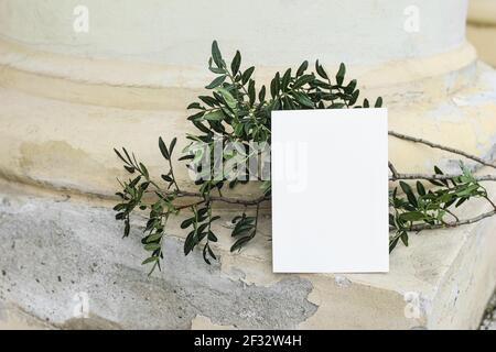 Maquette de carte de vœux vierge. Scène de vie d'été avec branche de lentille verte contre le vieux mur de merde jaune. Architecture exotique, pilier ancien Banque D'Images