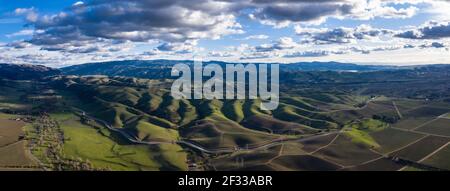 Les nuages bas se dévolent sur un paysage vert et paisible à Livermore, en Californie. Certains des meilleurs vignobles du monde existent dans cette région de la baie. Banque D'Images