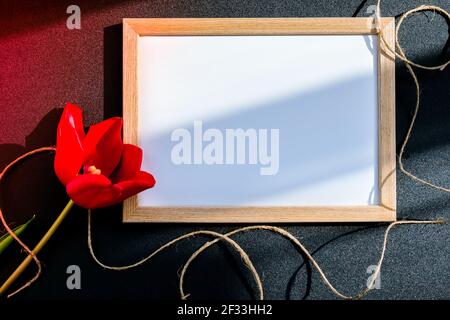 Carte De Condoleances Blanche Vierge Avec Tulipes Rouges Sur Fond Sombre Fleurs Fraiches Espace Vide Pour Un Texte Photo Stock Alamy