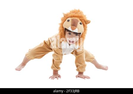 Petit joli petit truc asiatique ou un petit cadeau, joli garçon costumé et agissant comme un lion, isolé sur fond blanc Banque D'Images