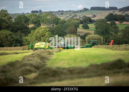 Fauchage et coupe du foin d'ensilage par le tracteur Banque D'Images