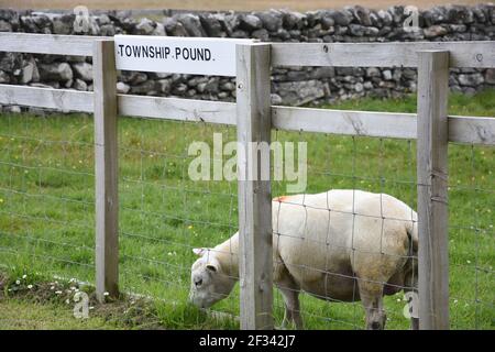 Township Pound, Borve, Isle of Lewis, Western Isles, Écosse, ROYAUME-UNI Banque D'Images