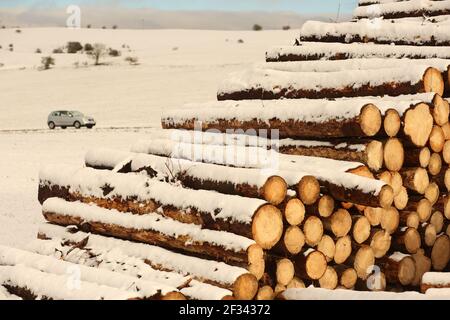 Elbingerode, Allemagne. 15 mars 2021. La neige se trouve sur une pile de bois stockée au bord d'une forêt dans les montagnes du Harz près d'Elbingerode, avec une voiture roulant sur une route derrière elle. Les premières chutes de neige ont commencé dans la nuit jusqu'à lundi. Le temps frais de l'hiver se poursuivra dans les jours à venir. Credit: Matthias Bein/dpa-Zentralbild/ZB/dpa/Alay Live News Banque D'Images