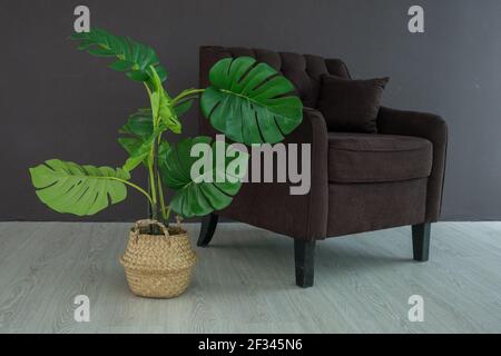 Fauteuil vintage en velours brun doux sur pieds en bois et plante tropicale verte dans un panier en paille, intérieur élégant dans les couleurs sombres, jungle urbaine, espace de copie Banque D'Images