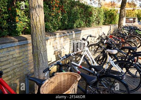 place de parking pour vélos avec porte-vélos sur la cour de l'école Banque D'Images