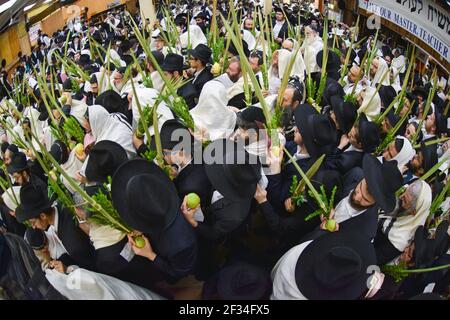 Une vue à l'œil de poisson d'un service de synagogue très bondé sur Sukkot. À Brooklyn, New York, 2015. Banque D'Images