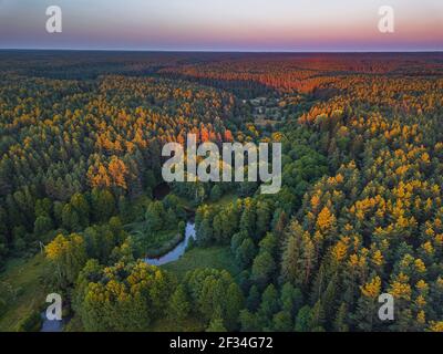 La lumière de l'été soleil Vue aérienne des forêts Banque D'Images