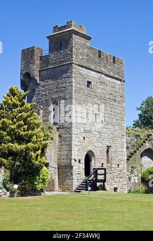 Une tour médiévale construite dans le château de Caldicot, dans le Monbucshire, au pays de Galles. Banque D'Images