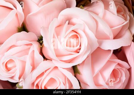 Un gros plan de belles roses et délicates dans un bouquet Banque D'Images