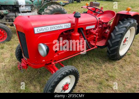 Tracteur David Brown 750 Farmatic, 1962 Banque D'Images