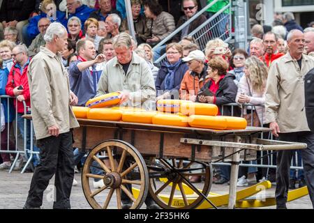 Test d'un inspecteur de Fromage Fromage Roue, Alkmaar, Pays-Bas Banque D'Images