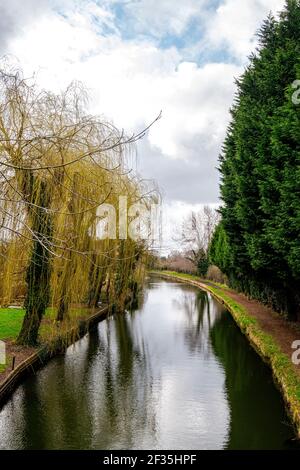 Canal Trent et Mersey bordé d'arbres à Elworth près de Sandbach Cheshire Royaume-Uni Banque D'Images