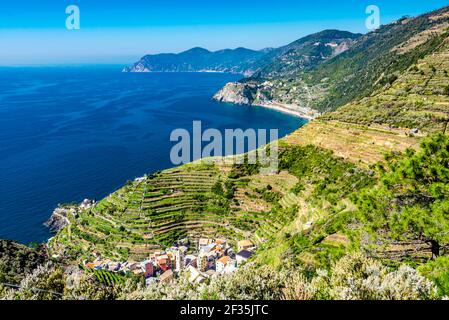 Vue panoramique sur Manarola et paysage de bord de mer. Culture de vignes au-dessus de la ville. Parc national des Cinque Terre, Ligurie, Italie. Banque D'Images