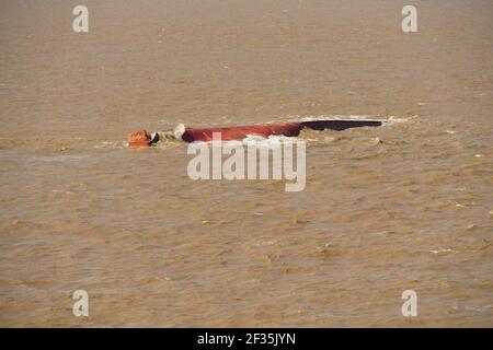 Le fond du bateau cachsized dans la rivière boueuse à l'approche de Shanghai, en Chine. Banque D'Images