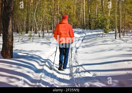 Une jeune femme entre pour les sports d'hiver - marche nordique, marche avec des bâtons dans une forêt enneigée. Des personnes actives dans la nature. Banque D'Images