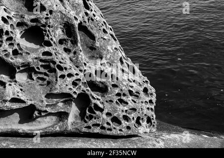 Pierres de sable érodées et sculptées sur l'île Saturna, C.-B. Canada Banque D'Images