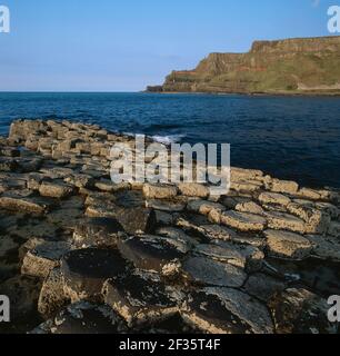 COLONNES de basalte DE GIANT'S CAUSEWAY Antrim, nord-est du site classé au patrimoine mondial de l'UNESCO d'Ulster, crédit : Robert Thompson / Avalon Banque D'Images