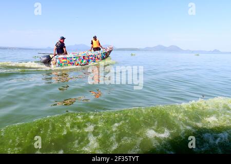 Kisumu, Nyanza, Kenya. 9 mars 2021. Un bateau traversant une région du lac Victoria touchée par la floraison d'algue pendant l'expédition du lac Victoria FlipFlopi. Les scientifiques disent que la fleur d'algue est nocive pour la vie aquatique.le bateau FlipFlopi fait un voyage autour des plus grands lacs d'Afrique pour sensibiliser à la pollution plastique. Crédit : James Wakibia/SOPA Images/ZUMA Wire/Alay Live News Banque D'Images