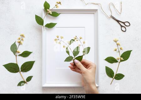 les mains des femmes décorent un herbier de fleurs dans un cadre pour les photos. Art floral concept de décoration d'intérieur. Flat lay. Fond en béton blanc Banque D'Images