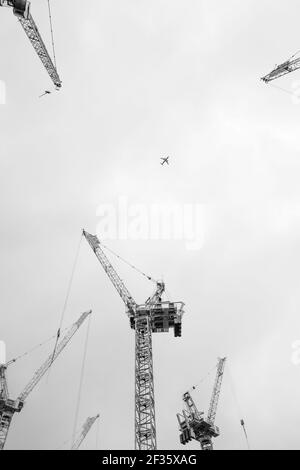 Une prise de vue en niveaux de gris à angle bas d'une grue Banque D'Images