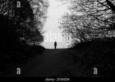 silhouette de figure solitaire debout sur le chemin de bois à l'horizon point Banque D'Images