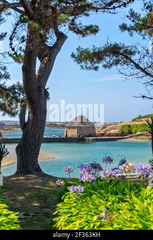 Moulin à marée du Birlot sur l'île de Bréhat dans les Côtes d'Armor, Bretagne, France Banque D'Images