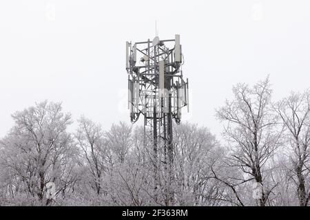 Mât de téléphone mobile partiellement masqué par des arbres couverts de gel par un temps froid nuageux. Banque D'Images