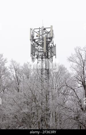 Mât de téléphone mobile partiellement masqué par des arbres couverts de gel par un temps froid nuageux. Banque D'Images