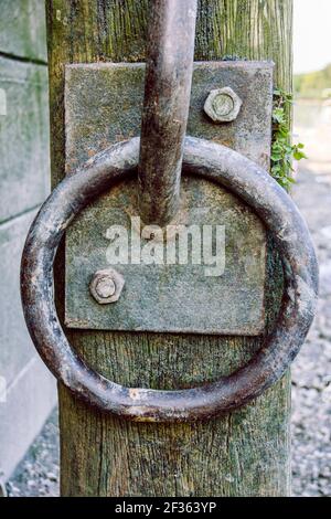 Un anneau d'amarrage en métal sur un poste en bois sur la rive de la Tamise à Isleworth, Londres, Royaume-Uni Banque D'Images