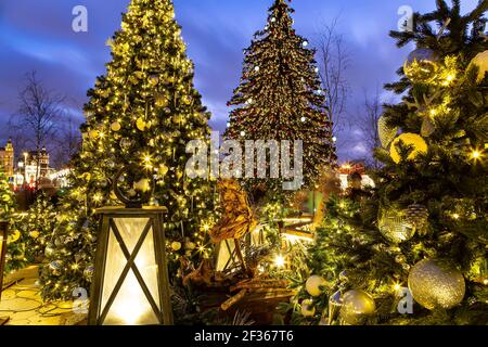 Noël (vacances du nouvel an) décoration sur le parc Zaryadye -- parc urbain situé près de la place Rouge à Moscou, Russie. Banque D'Images