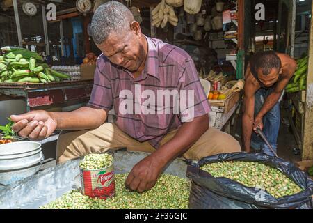 Santo Domingo République dominicaine, Ciudad Colonia Zona Colonial, Mercado Modelo marché hispanique Black man fournisseur de produits stand, lima grains de nettoyage sortine Banque D'Images