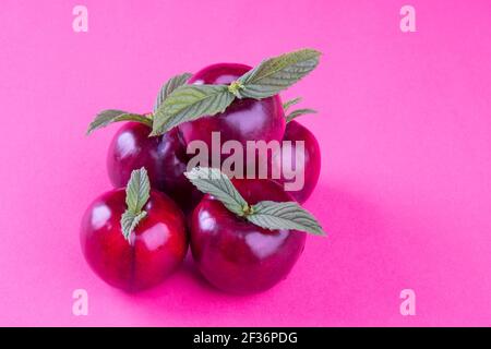 Concept de fruits sains et de couleur rose : un groupe de prunes tropicales rouges violets avec des feuilles vertes. Nourriture naturelle en fuchsia Banque D'Images