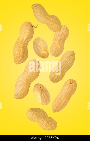 Chute de l'arachide dans la coquille isolée sur jaune Banque D'Images