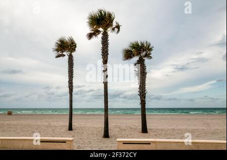 Hollywood Beach Broadwalk, une promenade le long de l'océan Atlantique, Floride Banque D'Images